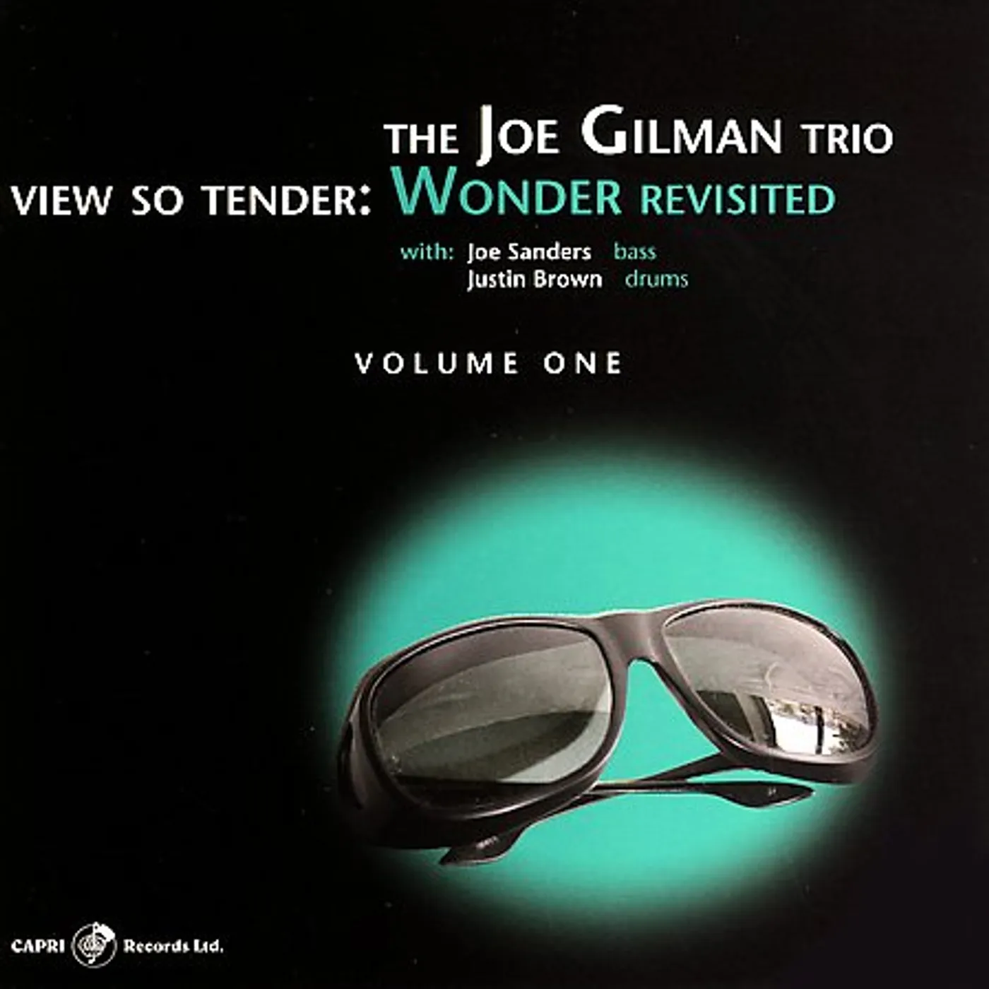 Joe Gilman VIEW SO TENDER: WONDER REVISITED 1 CD