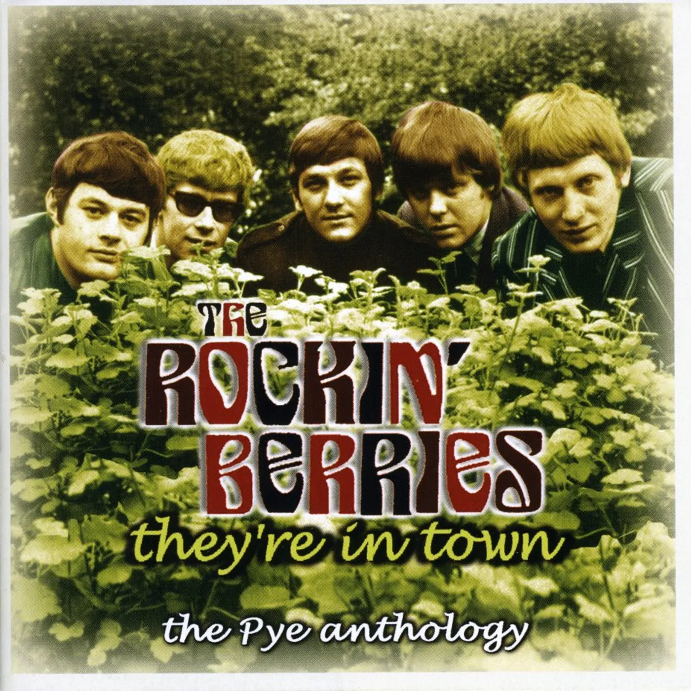 The Rockin' Berries THEY'RE IN TOWN: THE PYE ANTHOLOGY CD