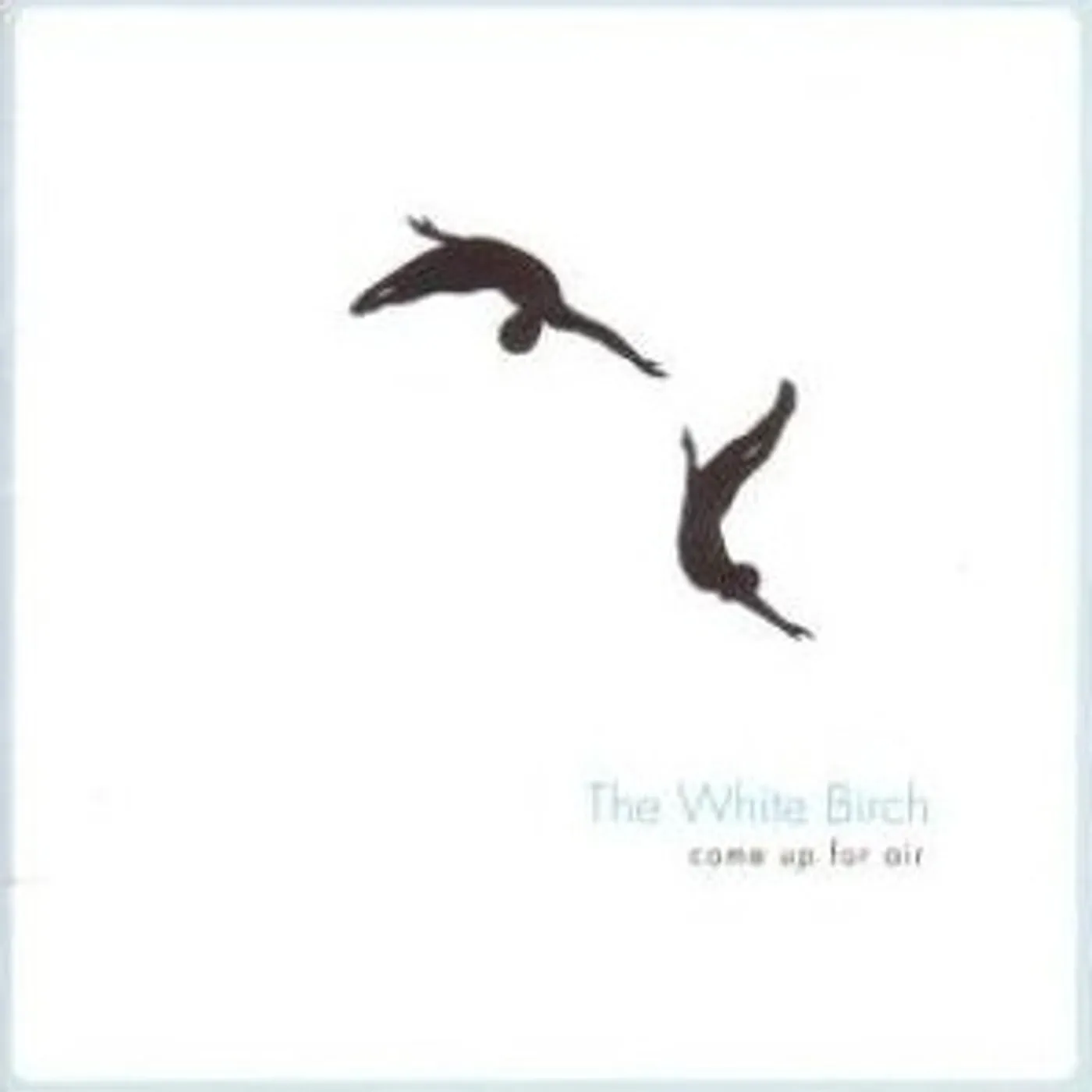 The White Birch Come Up For Air Vinyl Record