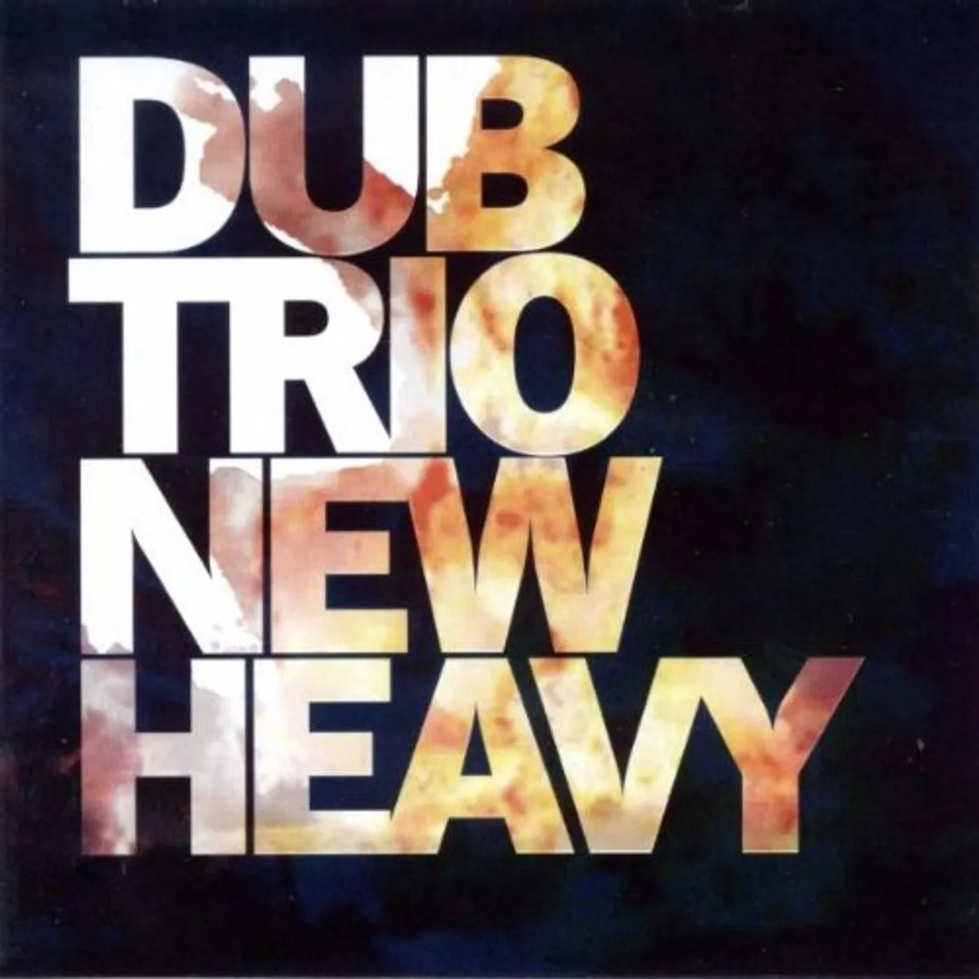 Dub Trio NEW HEAVY CD