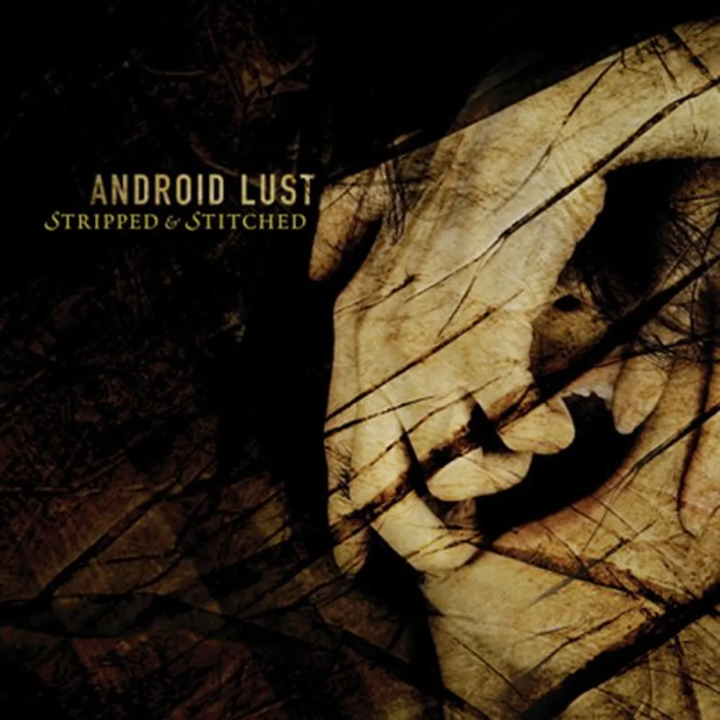 Android Lust STRIPPED & STITCHED CD