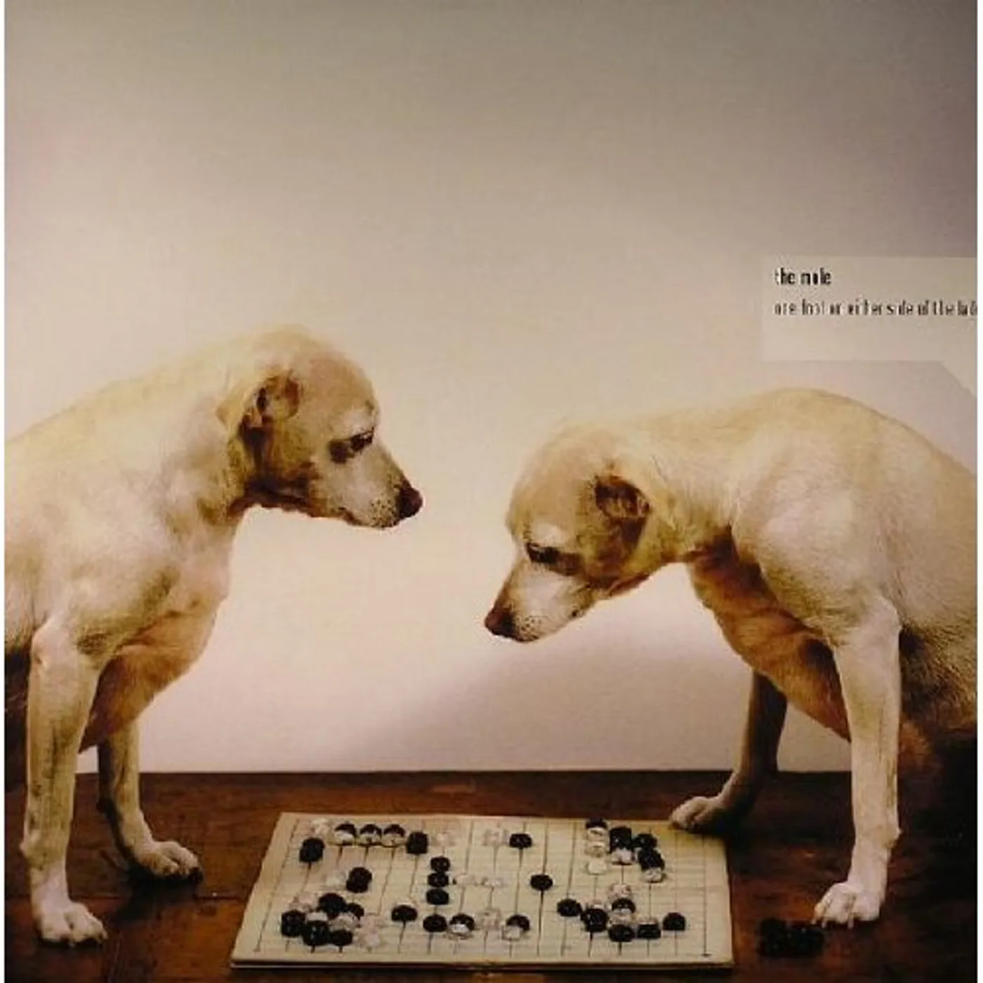 Mole One Foot On Either Side Of The Ladder Vinyl Record