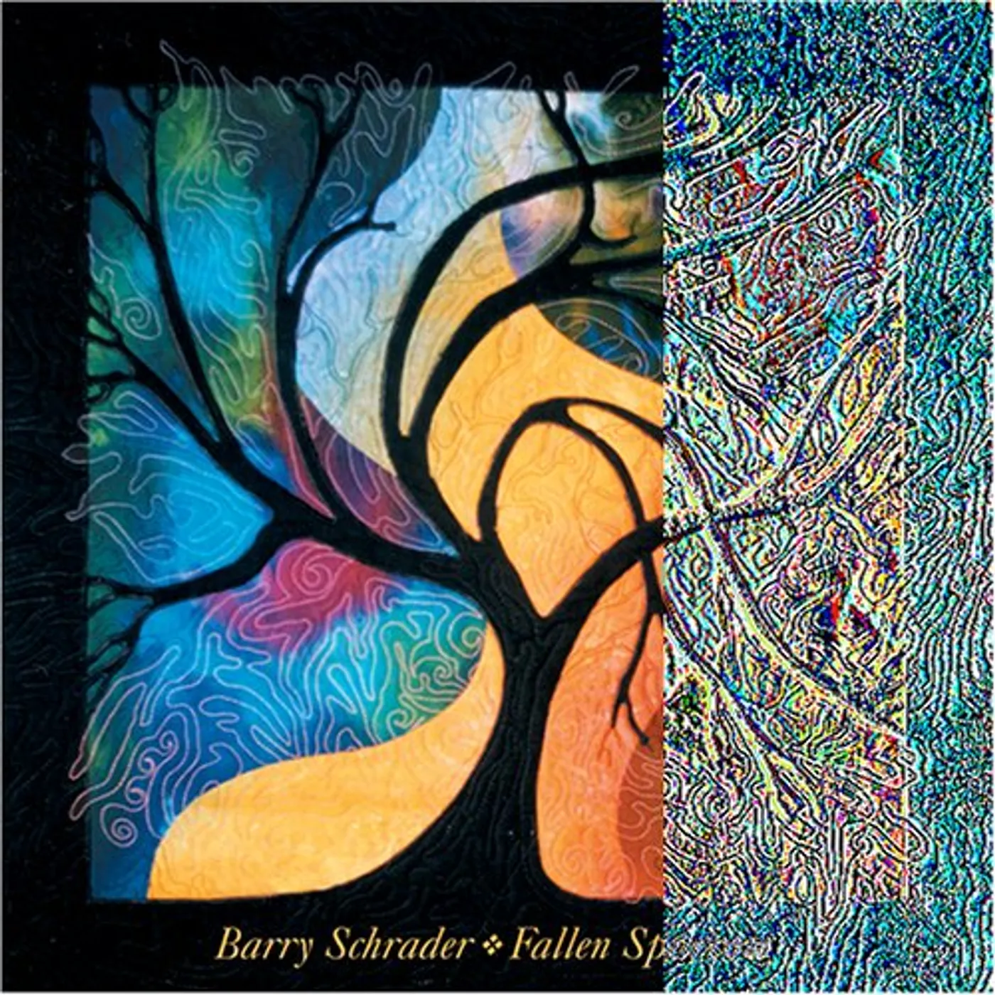 Barry Schrader FALLEN SPARROW CD