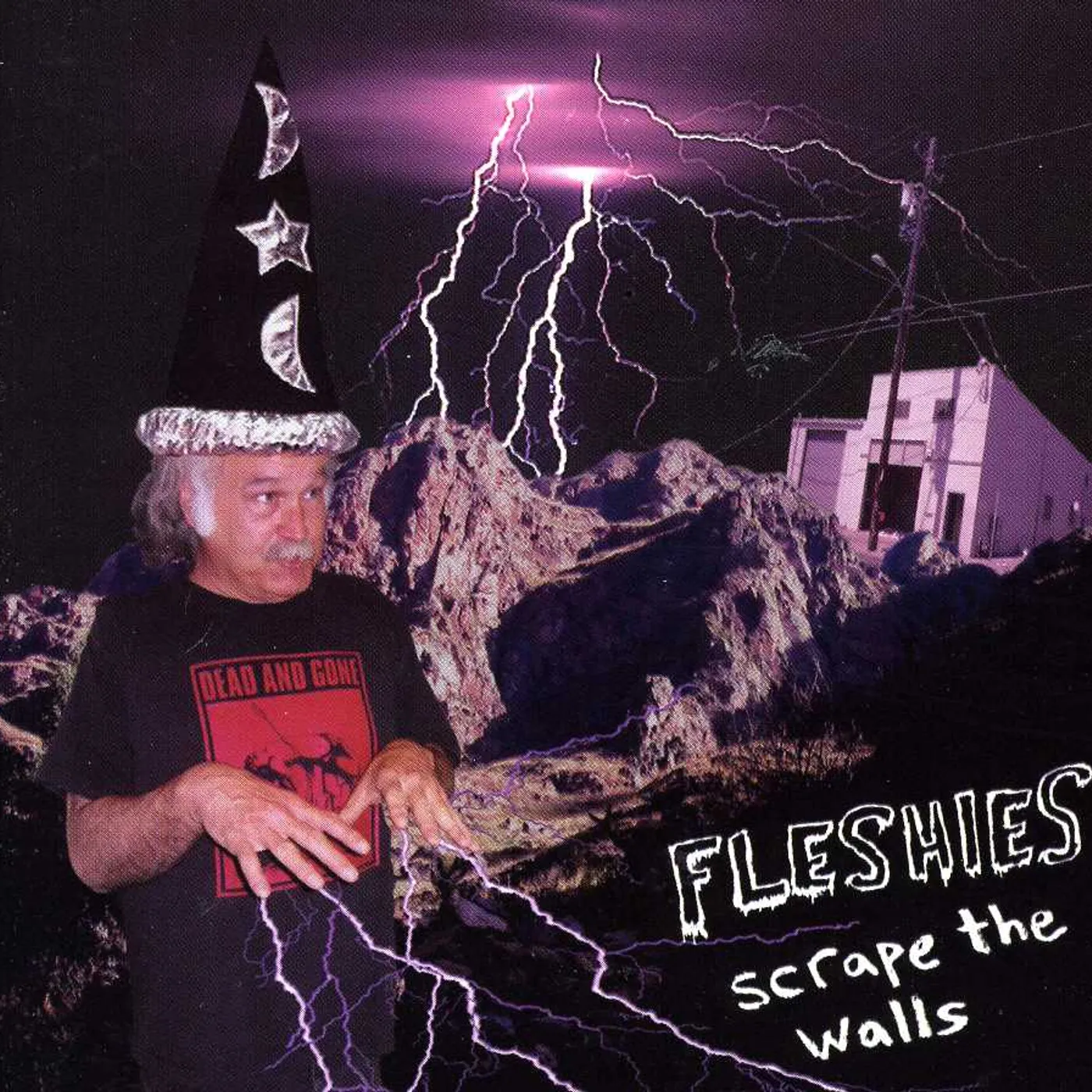 Fleshies SCRAPE THE WALLS CD