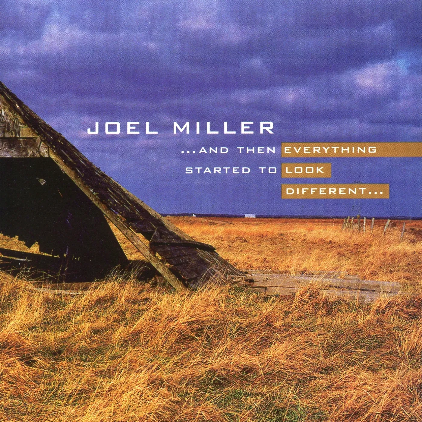 Joel Miller THEN EVERYTHING STARTED CD