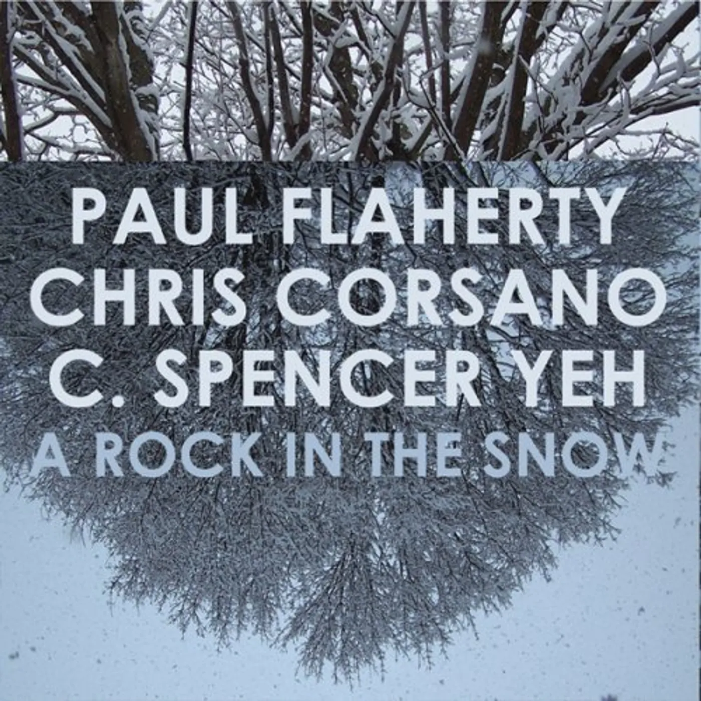 Paul Flaherty / Chris Corsano / C. Spencer Yeh ROCK IN THE SNOW CD