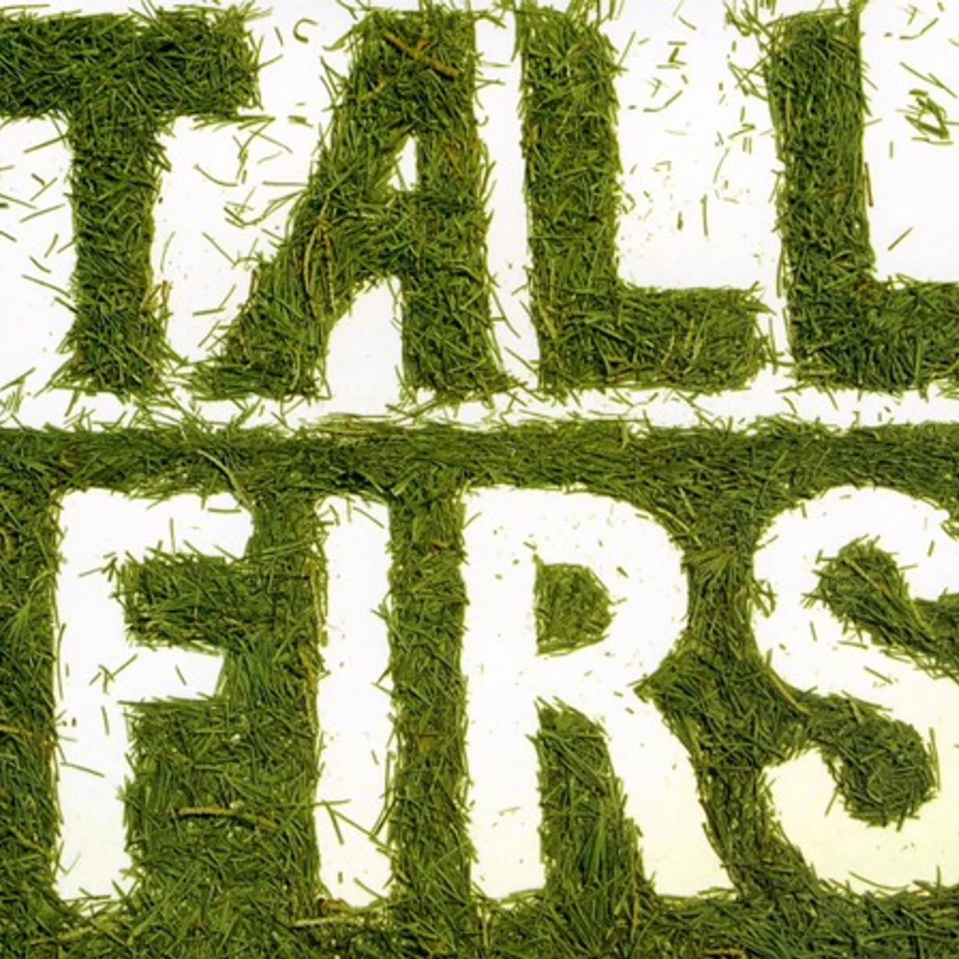 TALL FIRS CD