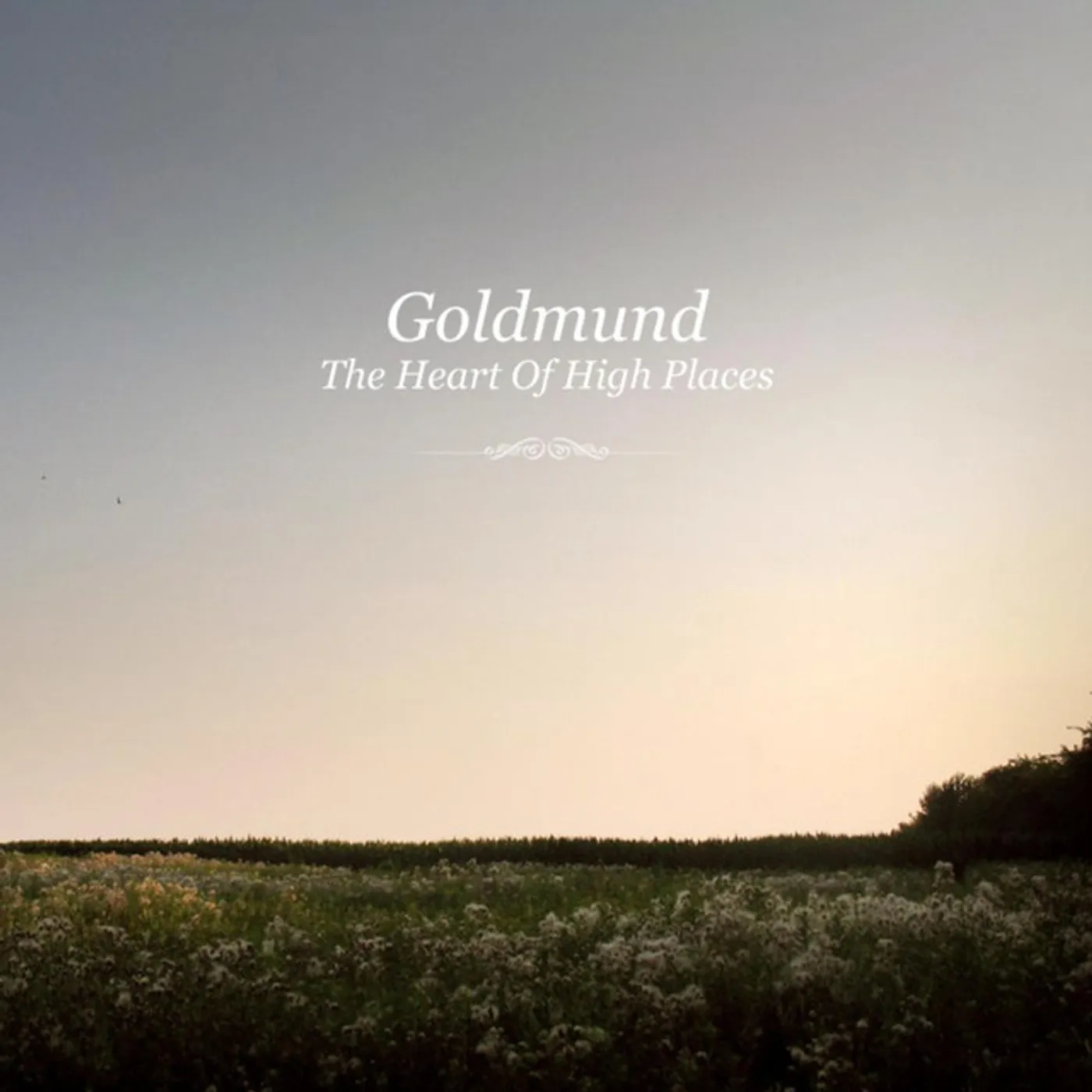 Goldmund HEART OF HIGH PLACES Vinyl Record