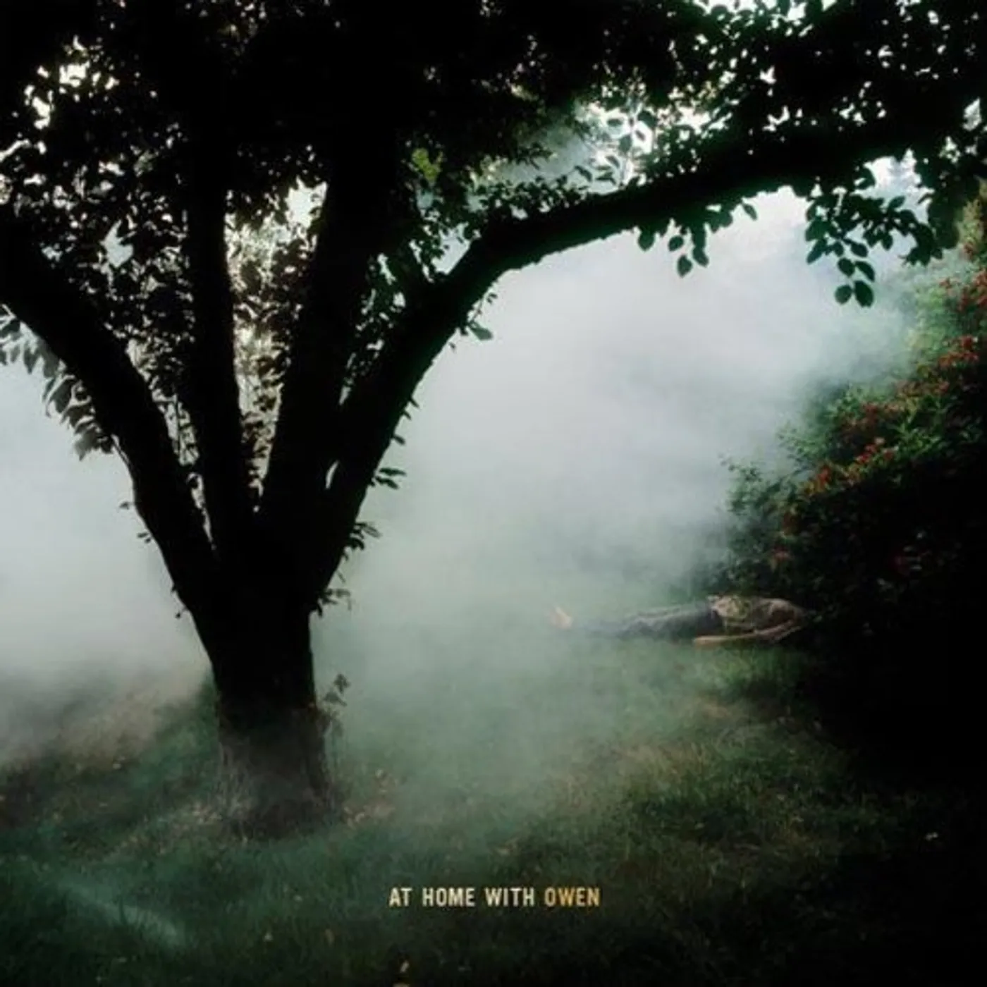 AT HOME WITH OWEN CD