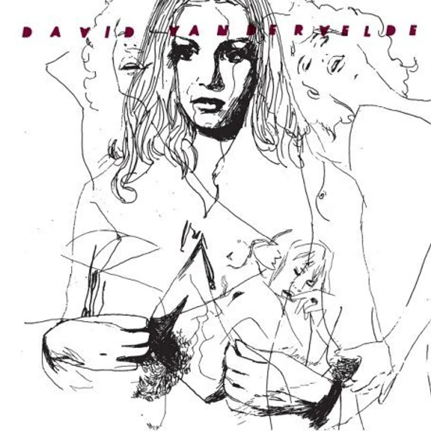 David Vandervelde JACKET / MURDER IN MICHIGAN Vinyl Record
