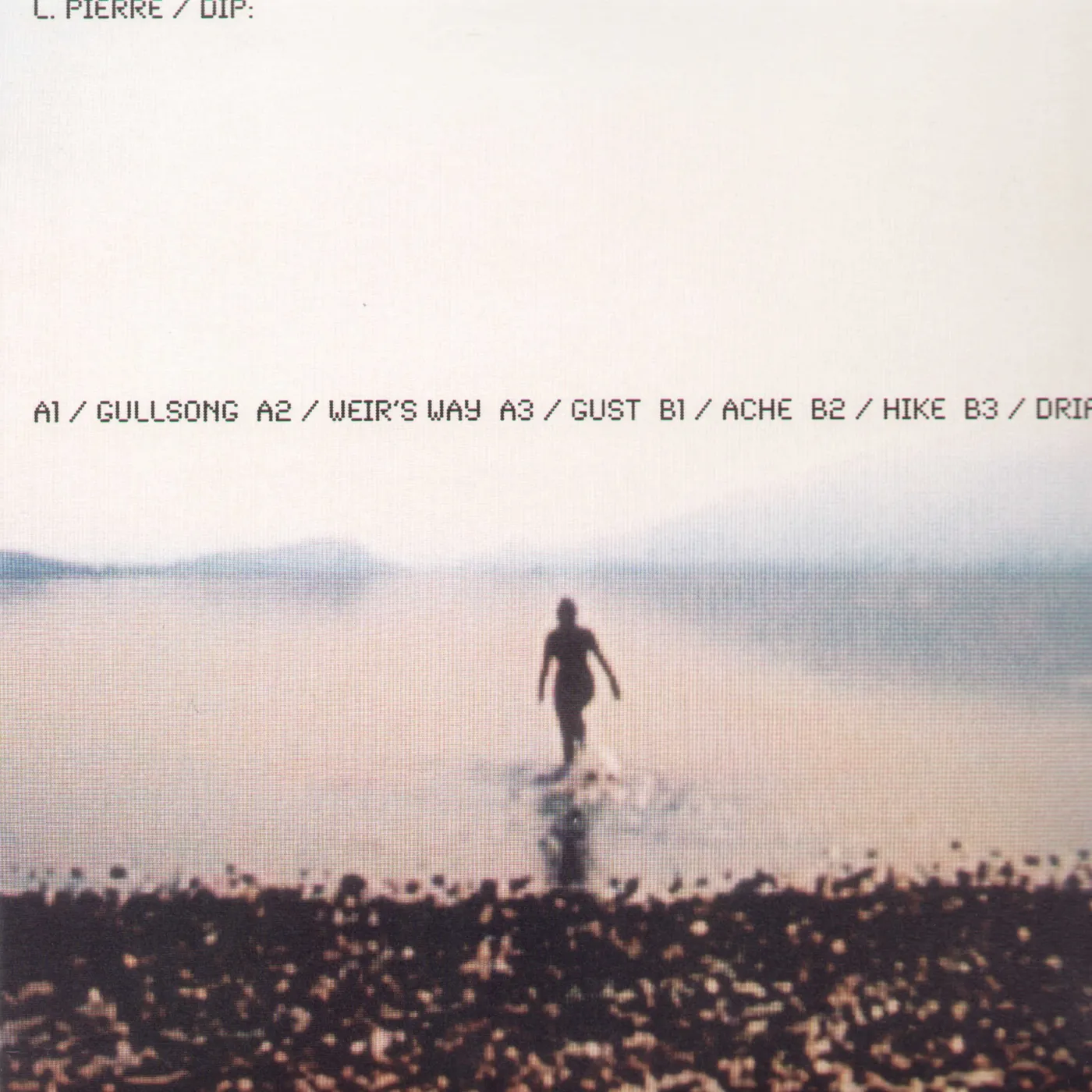 L. Pierre DIP Vinyl Record