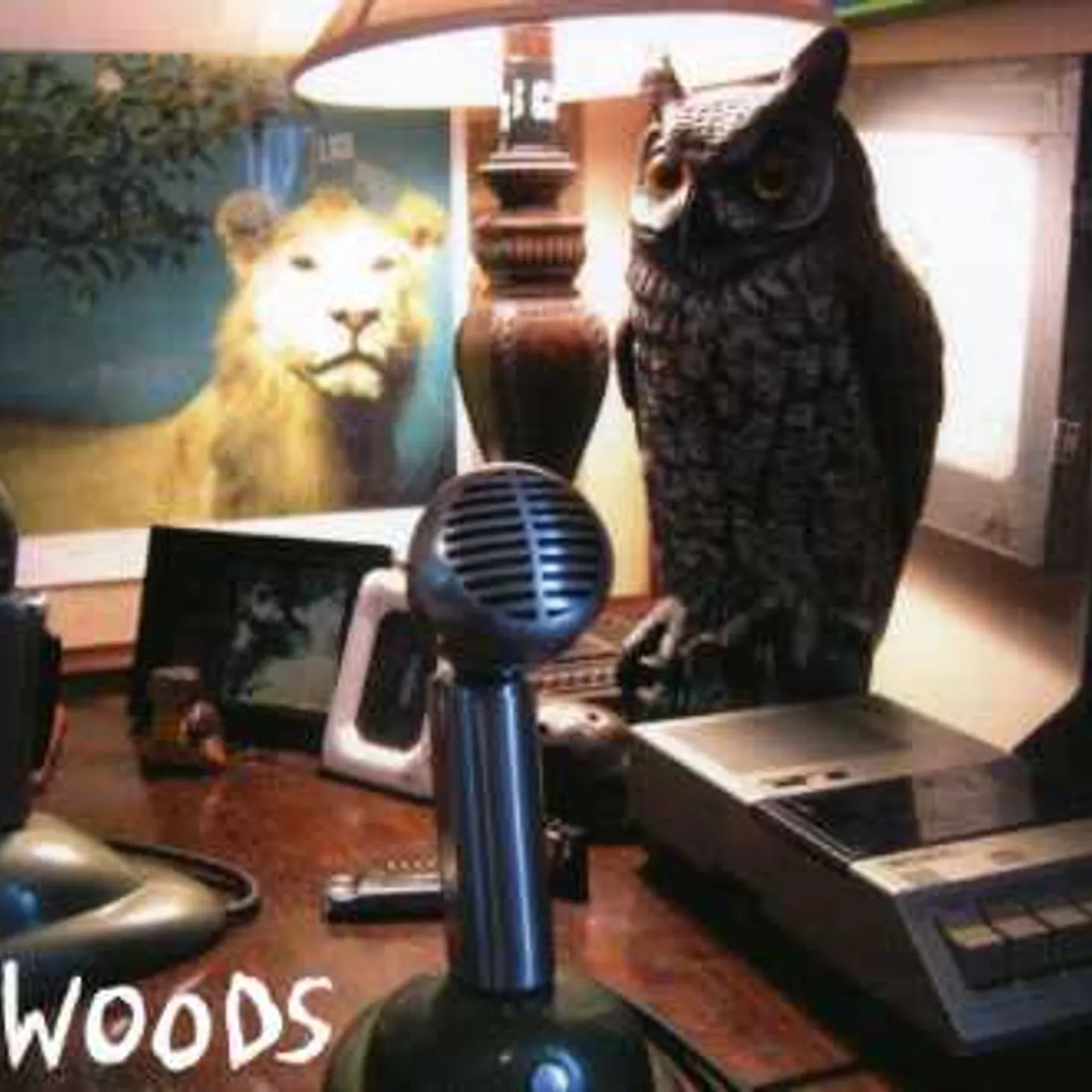 Woods AT REAR HOUSE CD