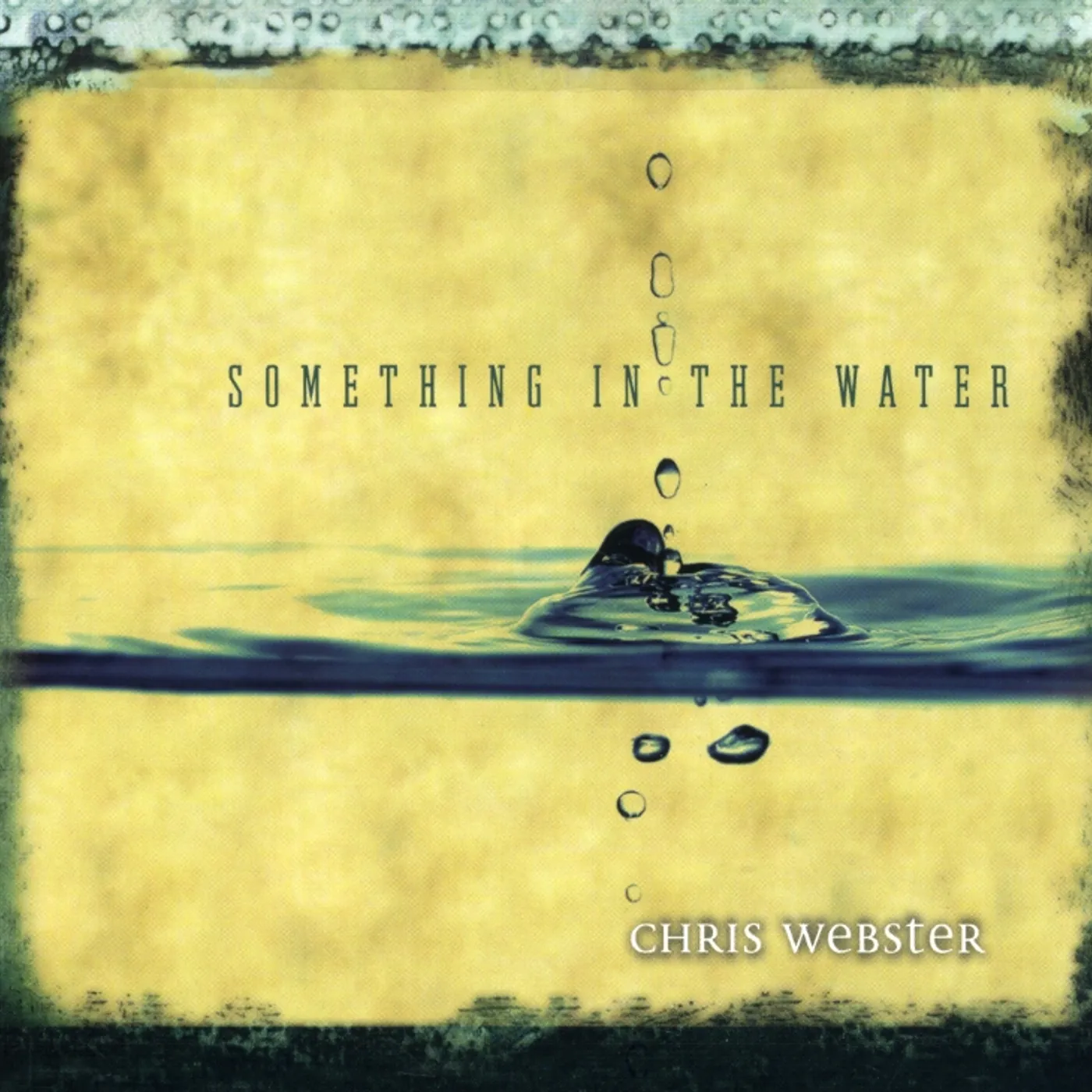 Chris Webster SOMETHING IN THE WATER CD