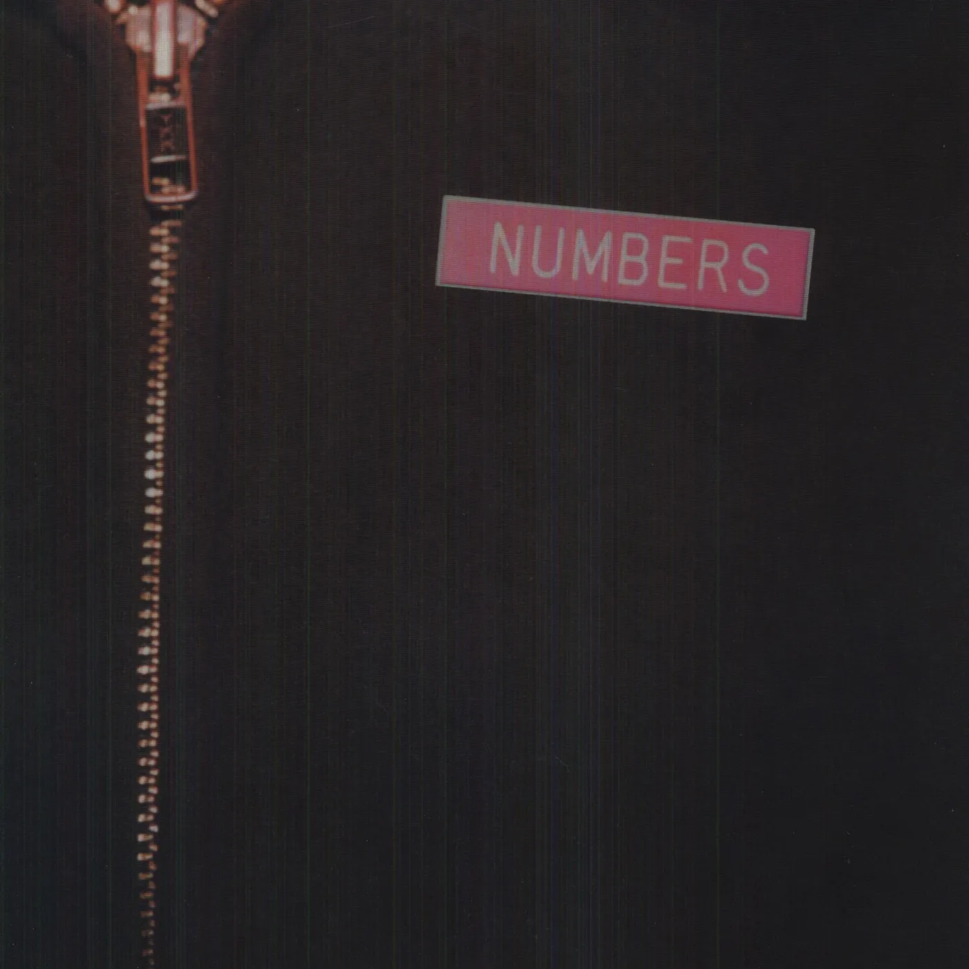 Numbers Life Vinyl Record