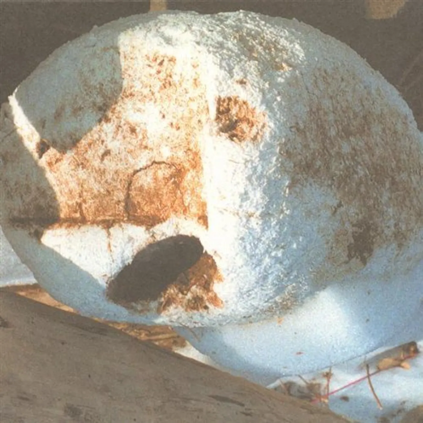 C-SCHULZ & HAJSCH CD