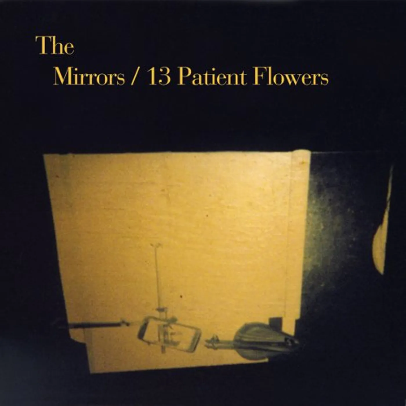 Mirrors 13 PATIENT FLOWERS CD
