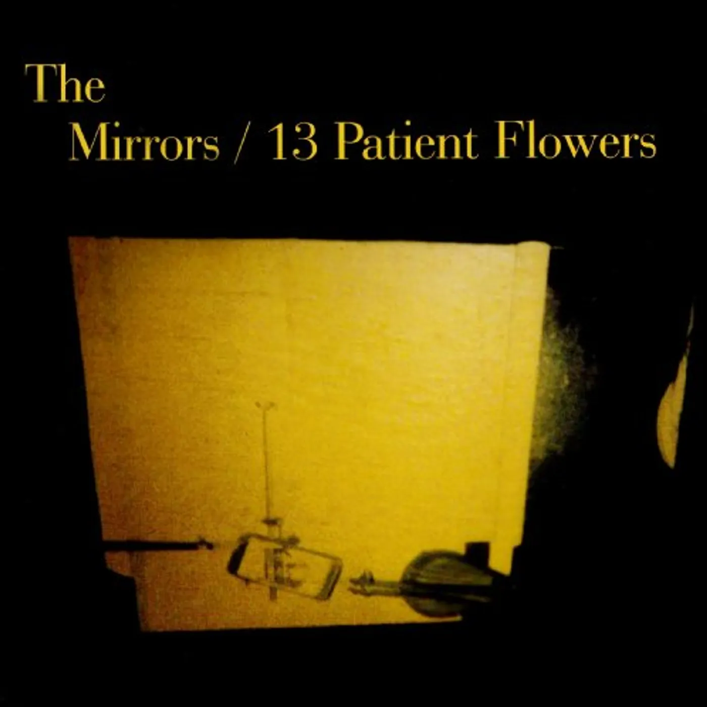 Mirrors 13 PATIENT FLOWERS Vinyl Record