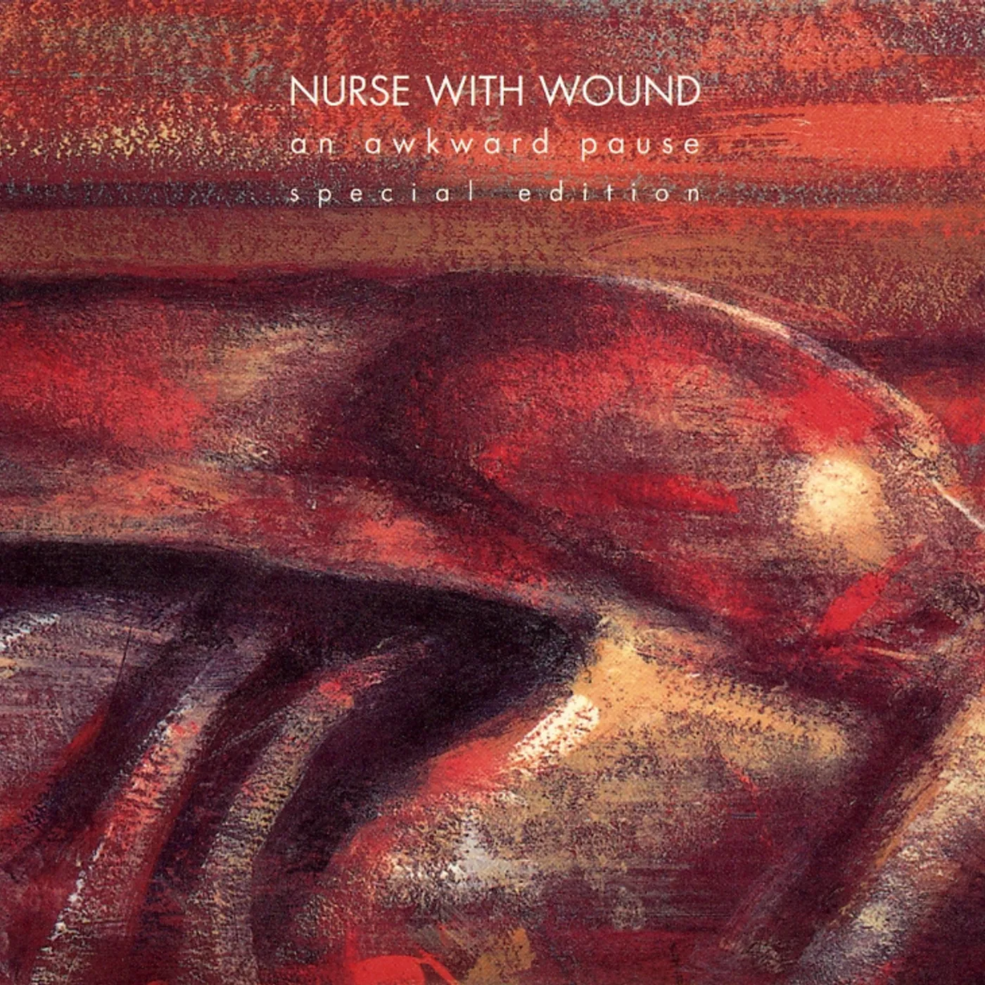 Nurse With Wound AWKWARD PAUSE CD