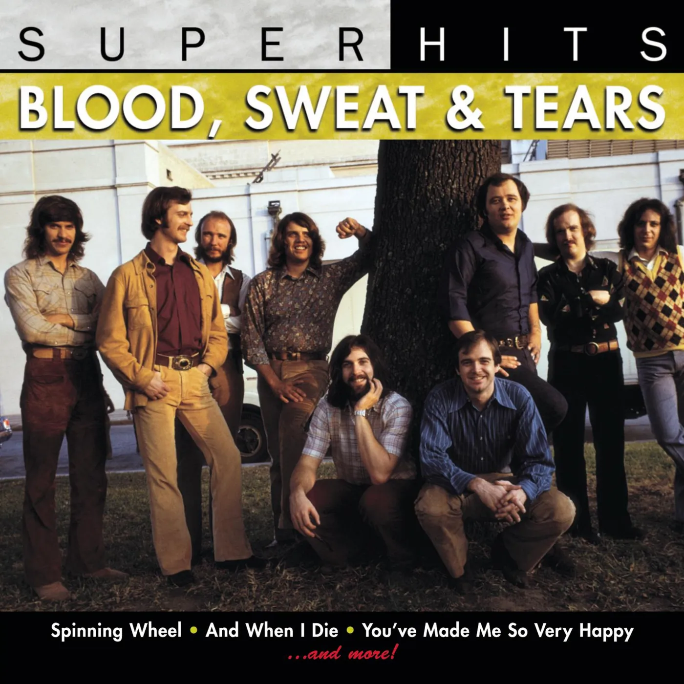 Blood, Sweat & Tears SUPER HITS CD