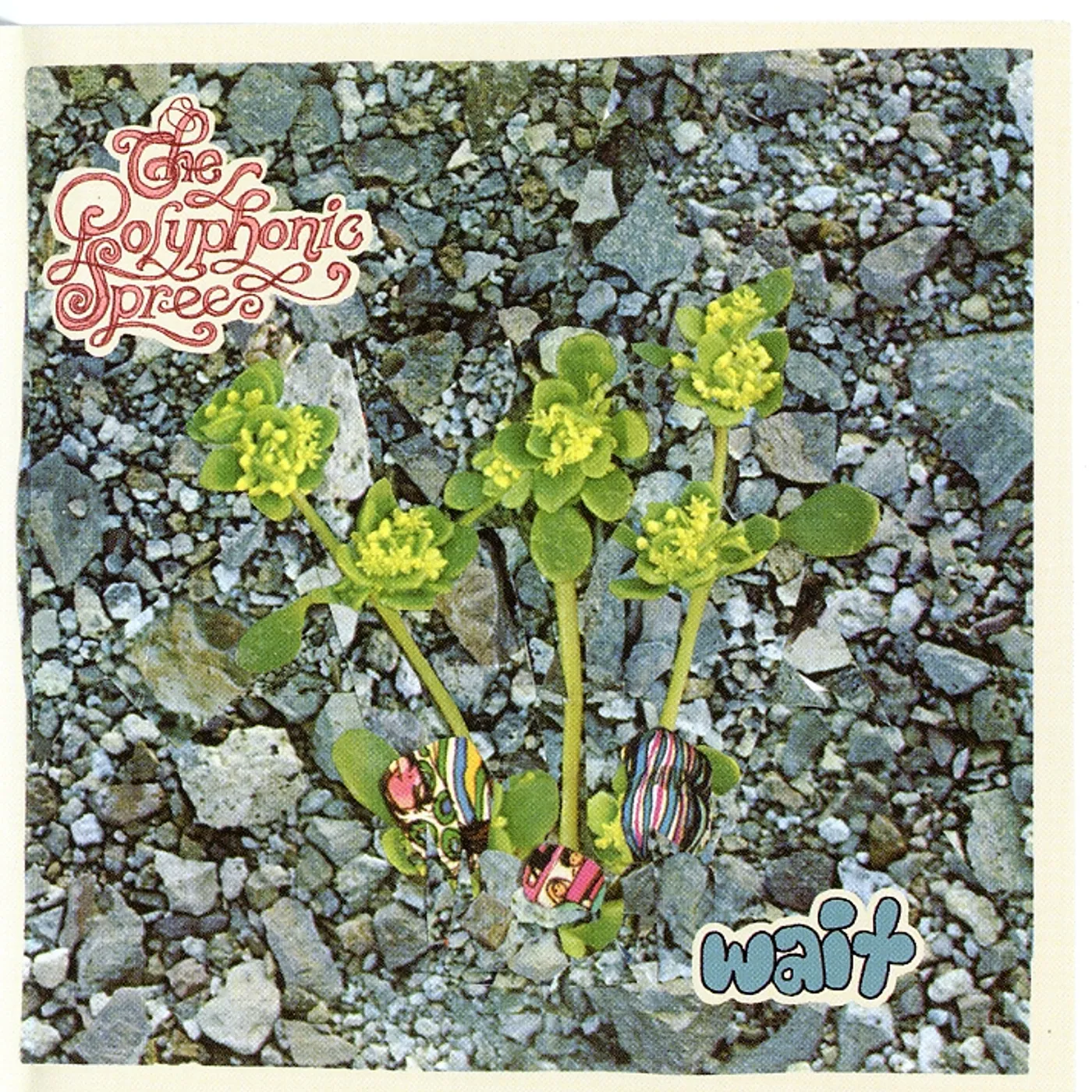 The Polyphonic Spree WAIT CD