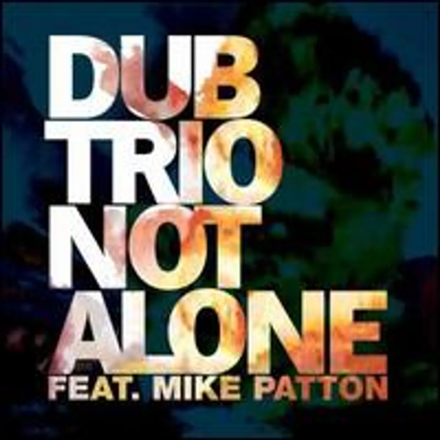Dub Trio Not Alone Vinyl Record