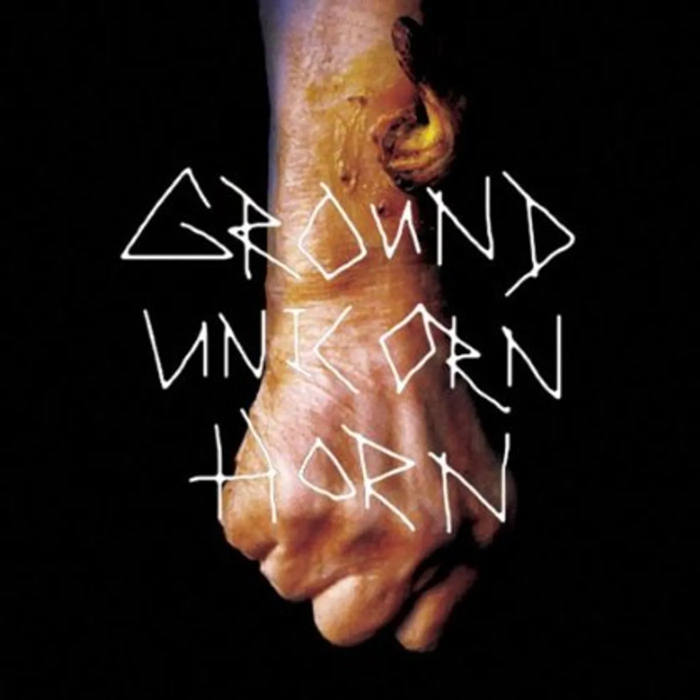 Ground Unicorn Horn Damn I Wish I Was Fat Vinyl Record