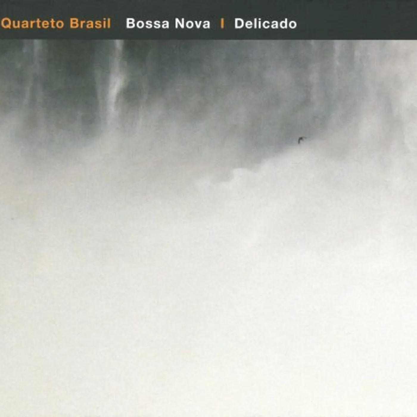 Quarteto Brasil BOSSA NOVA / DELICADO CD