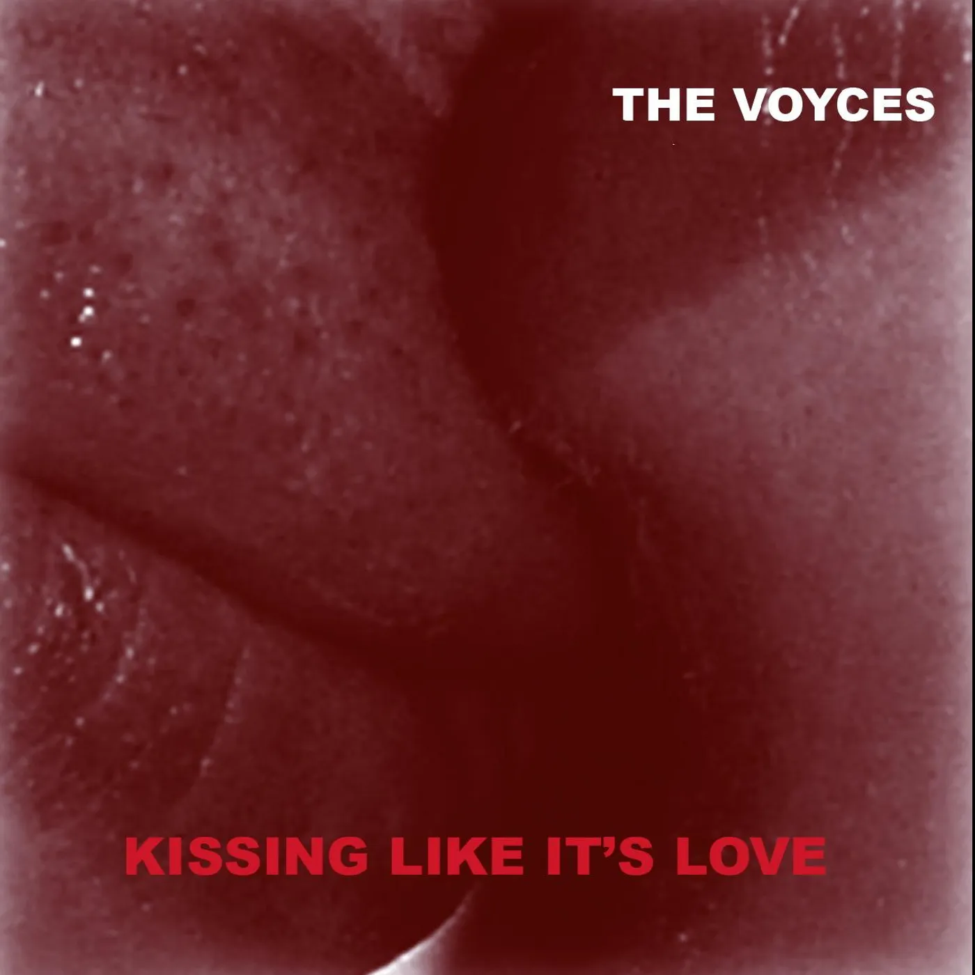 THE VOYCES KISSING LIKE IT'S LOVE CD