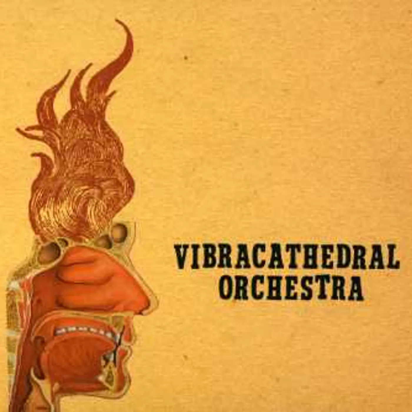Vibracathedral Orchestra WISDOM THUNDERBOLT CD