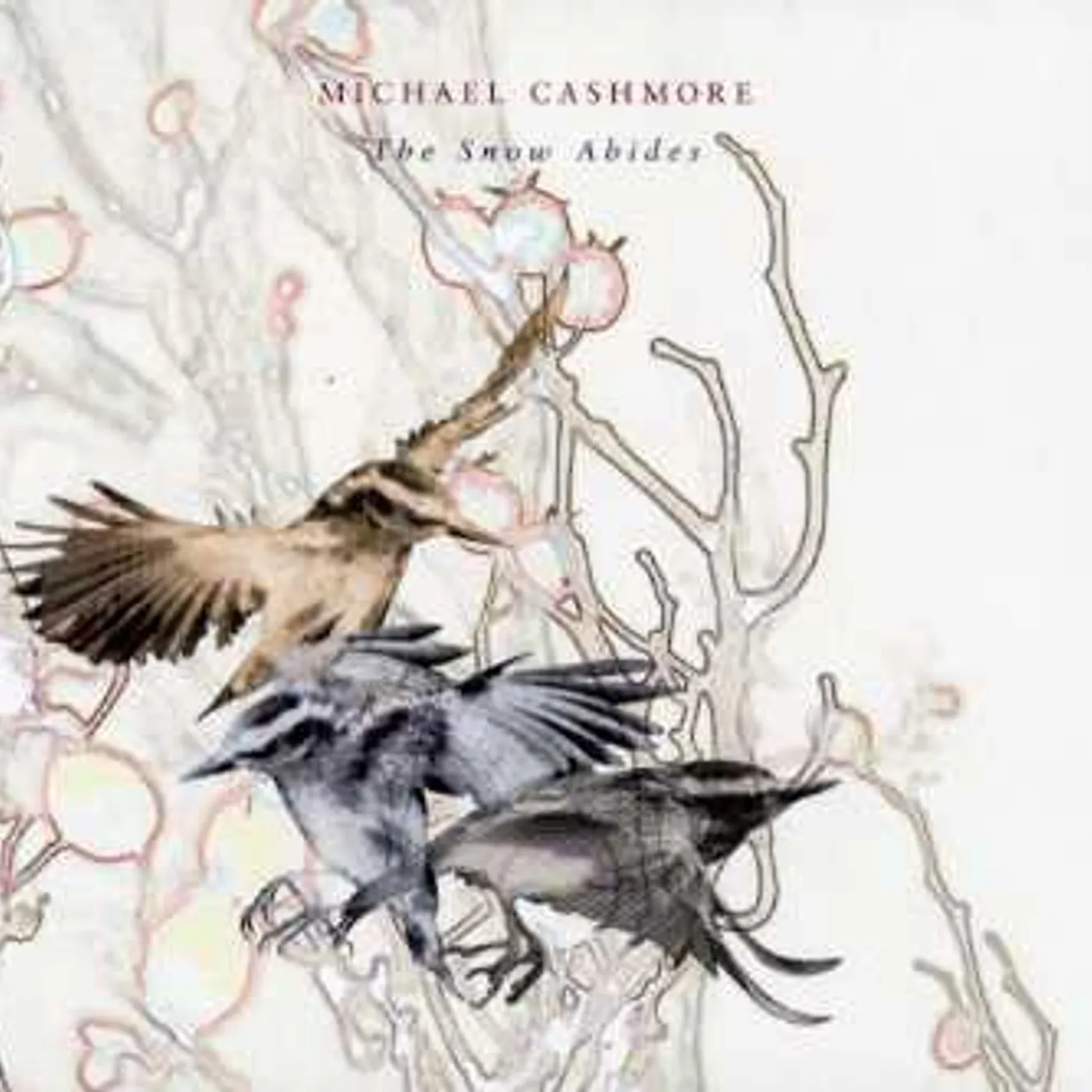 Michael Cashmore SNOW ABIDES CD