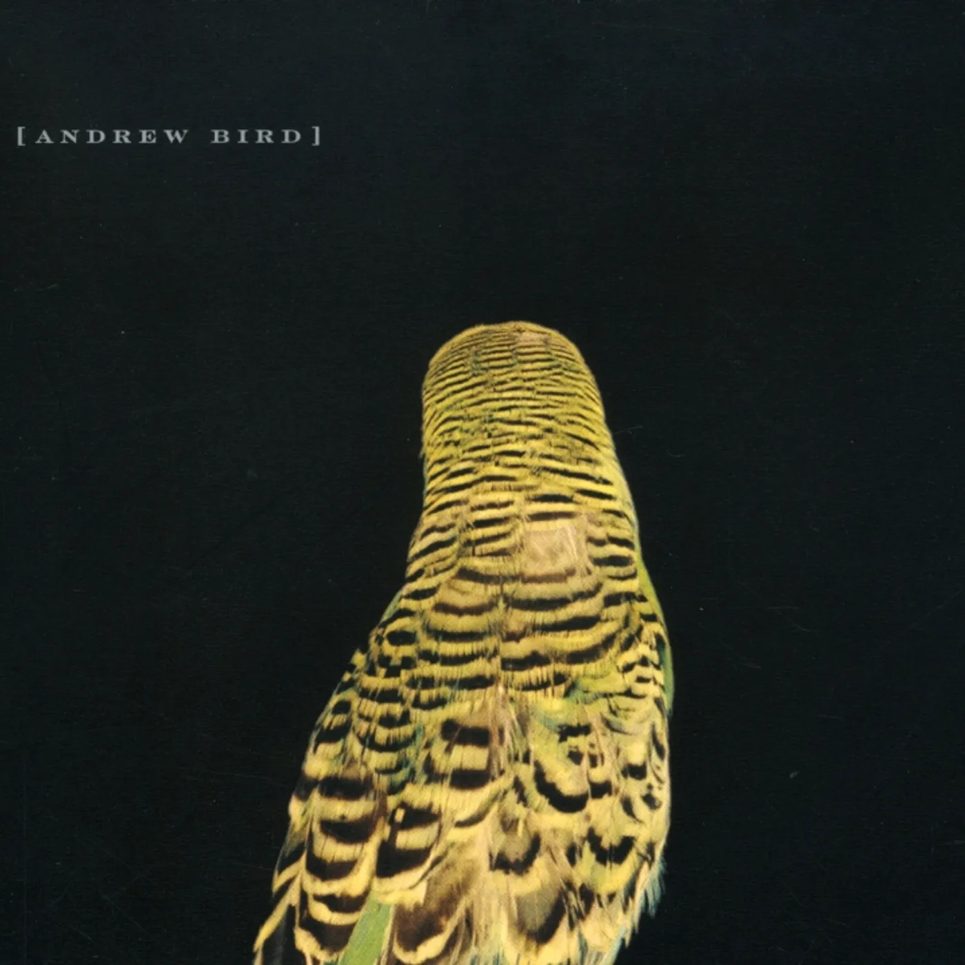 Andrew Bird ARMCHAIR APOCRYPHA CD