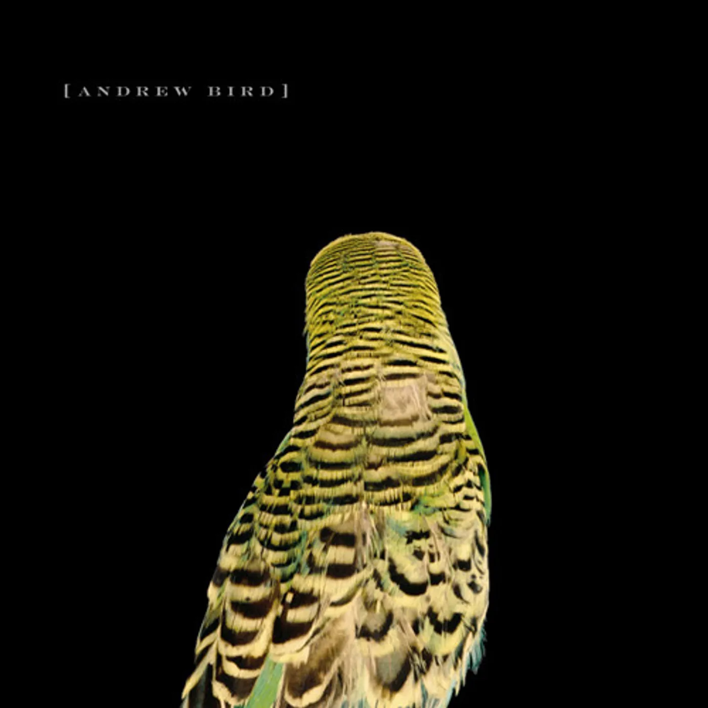 Andrew Bird Armchair Apocrypha Vinyl Record
