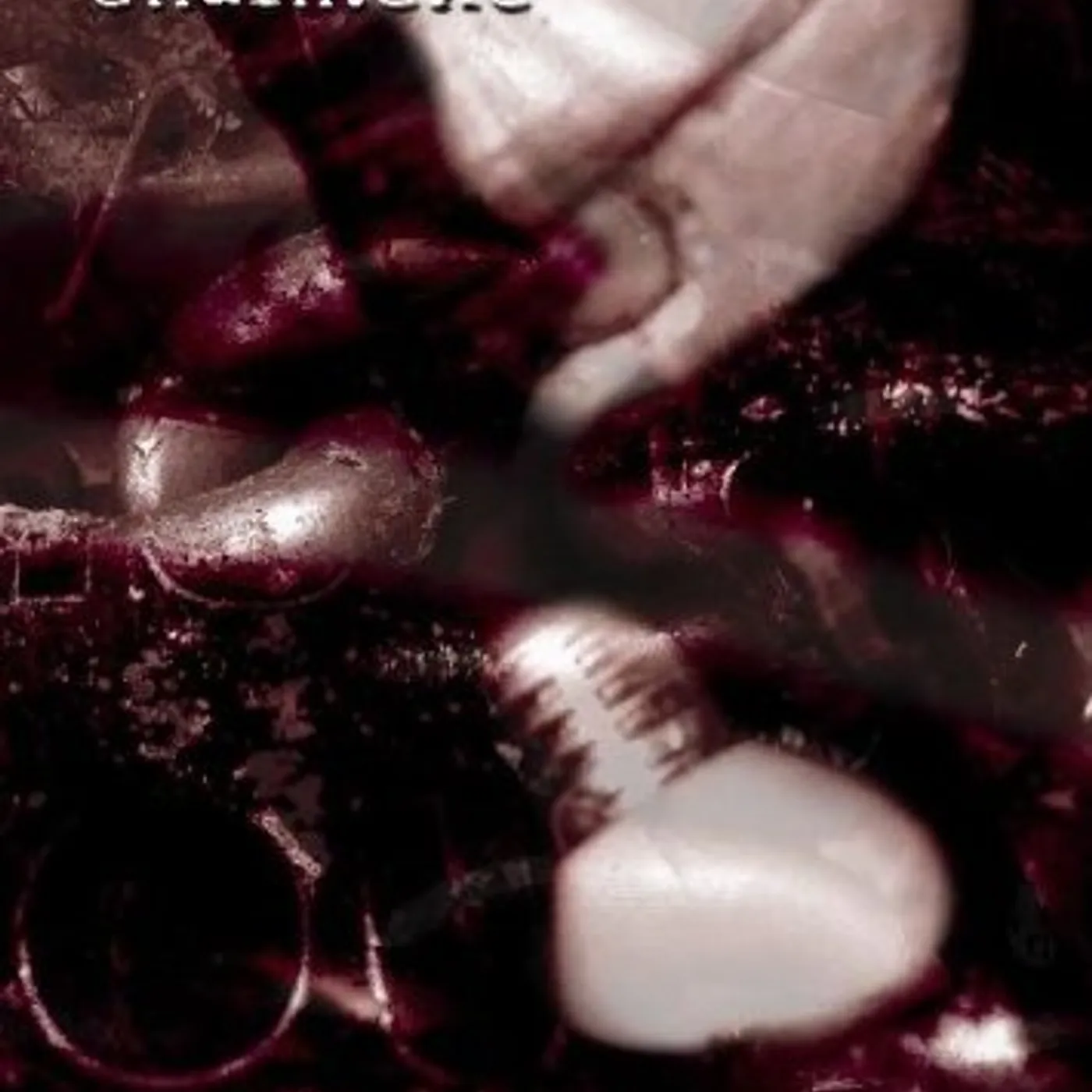 CHAIN.EXE (LTD ED) DVD
