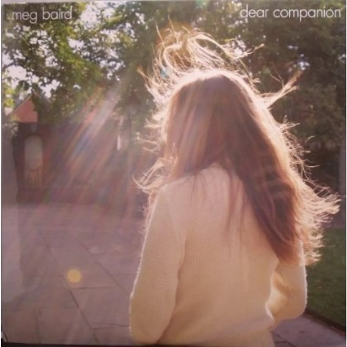 Meg Baird Dear Companion Vinyl Record