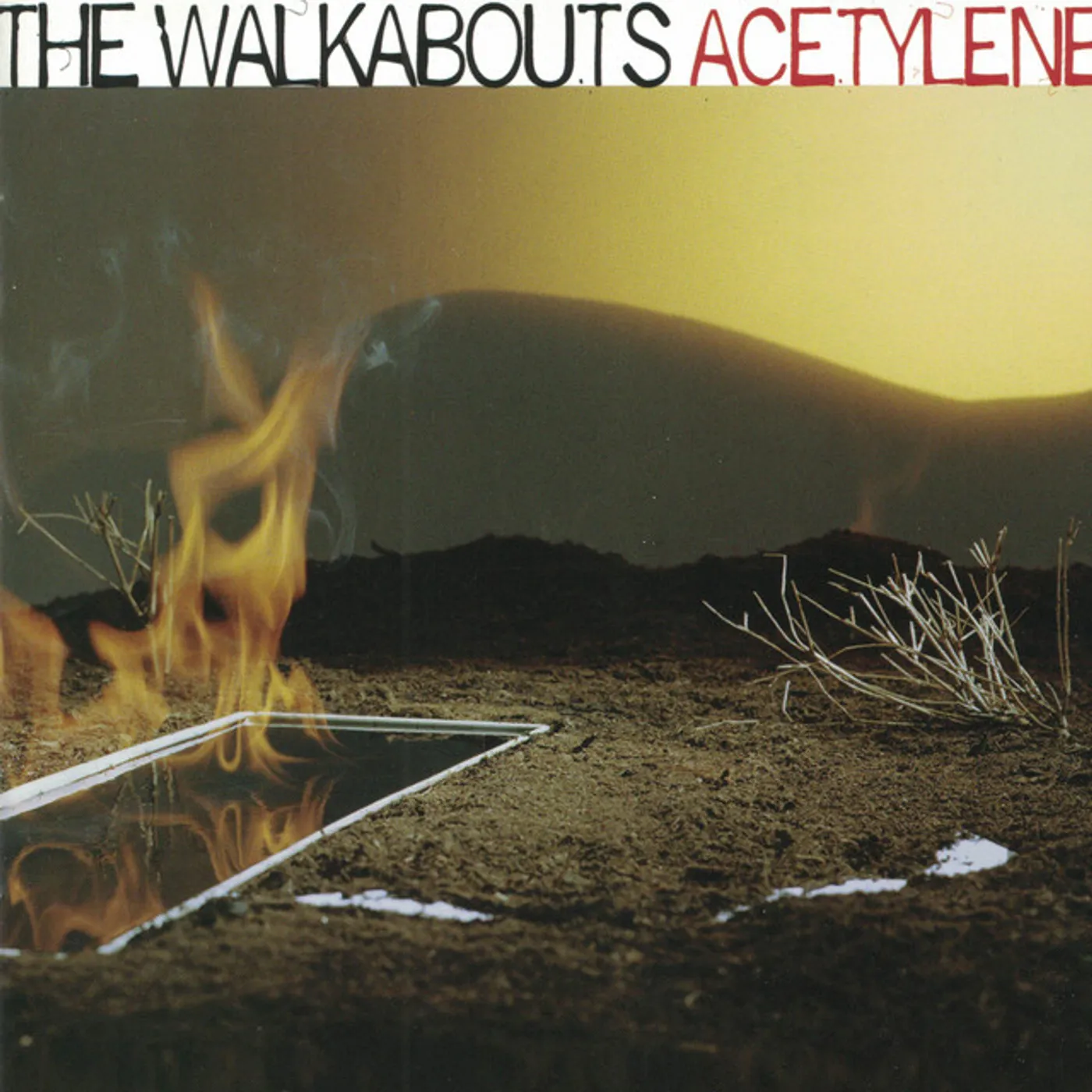The Walkabouts ACETYLENE CD