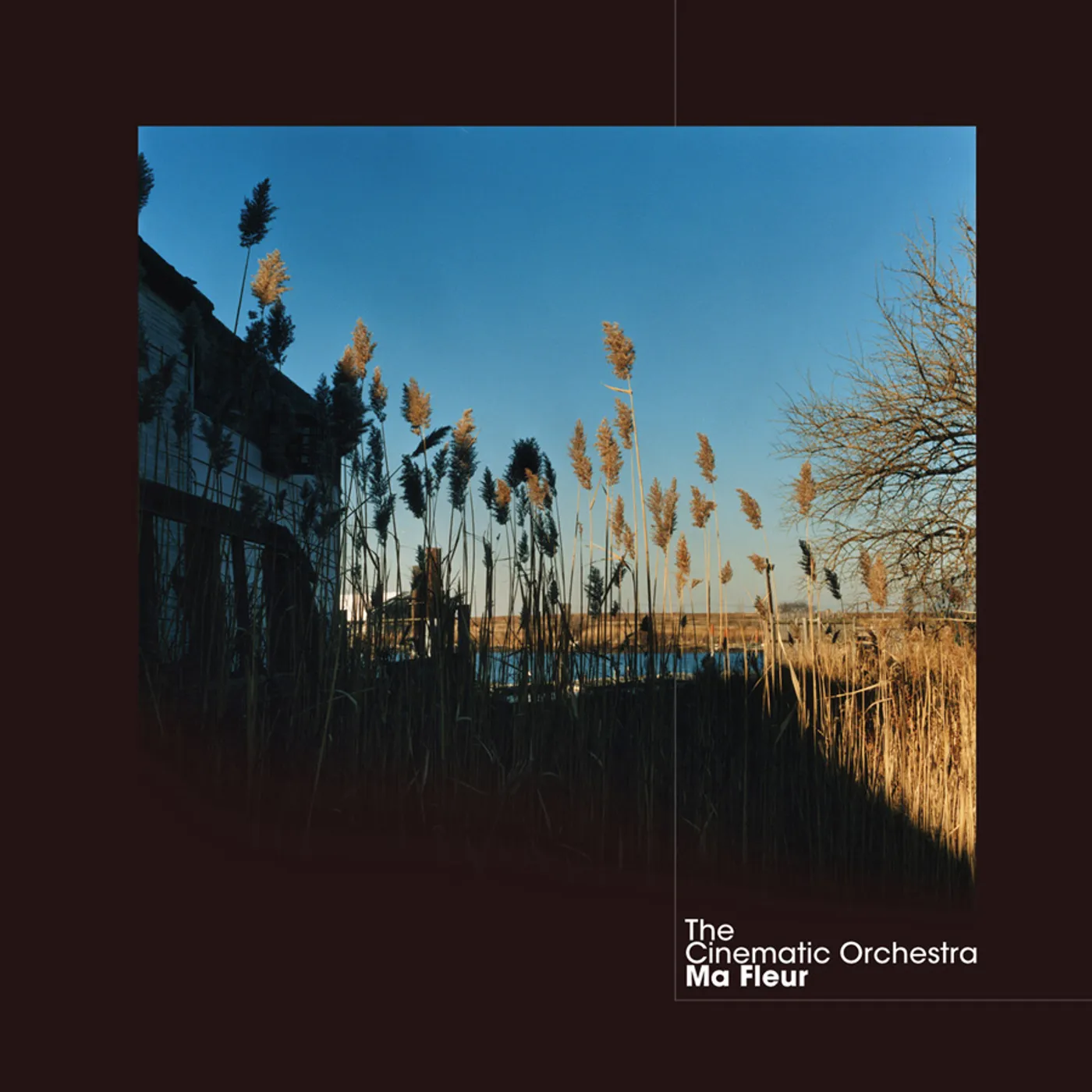 The Cinematic Orchestra MA FLEUR (2LP/DL CARD) Vinyl Record