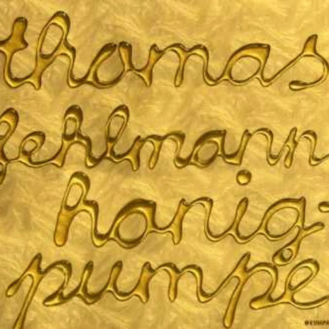 Thomas Fehlmann HONIGPUMPE CD
