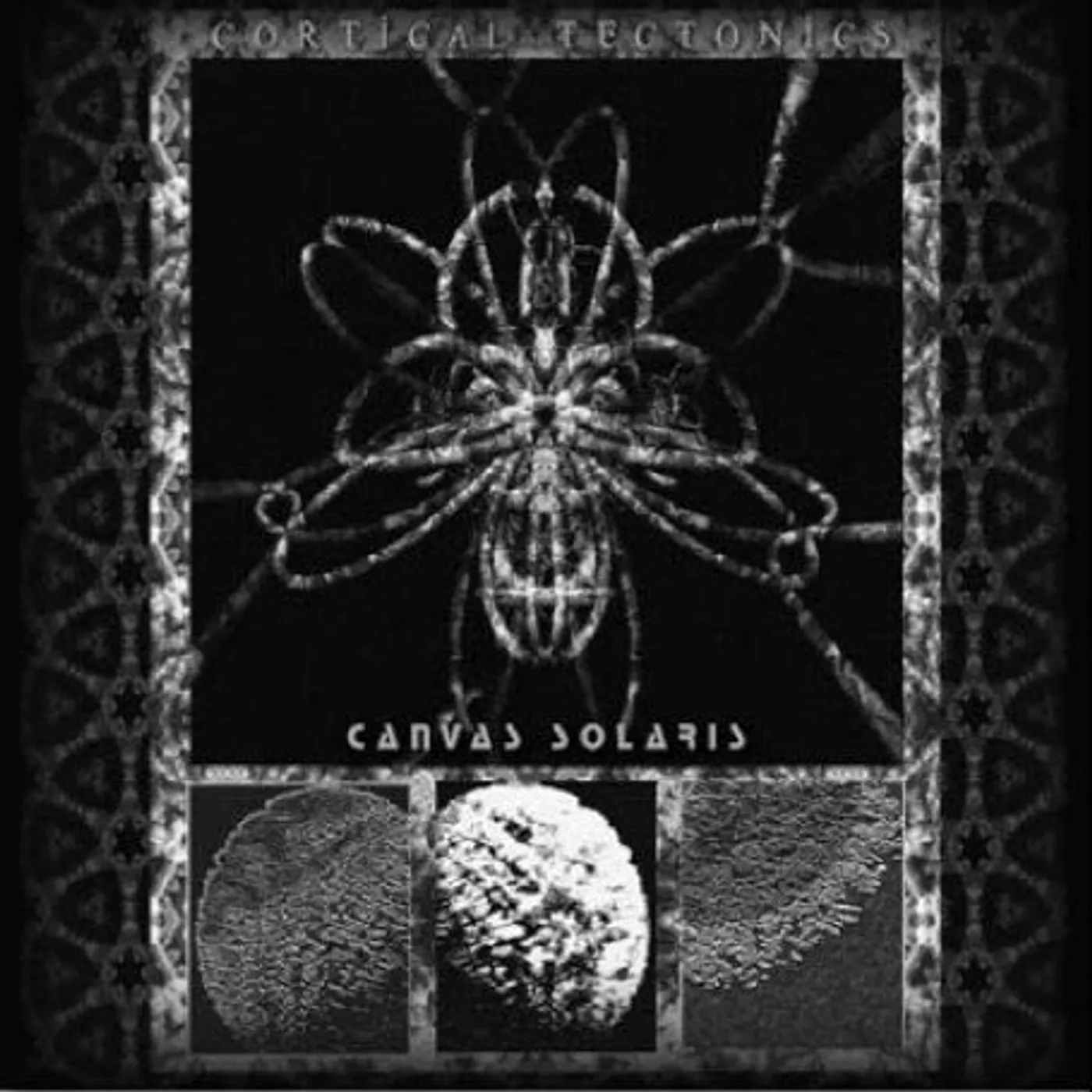 Canvas Solaris CORTICAL TECTONICS CD