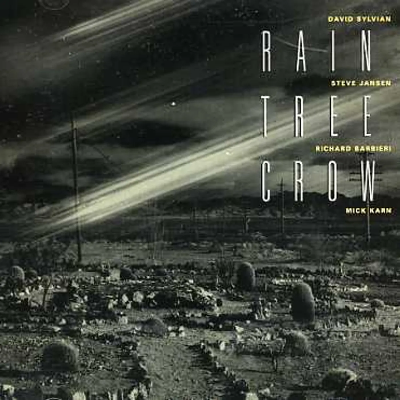 RAIN TREE CROW CD