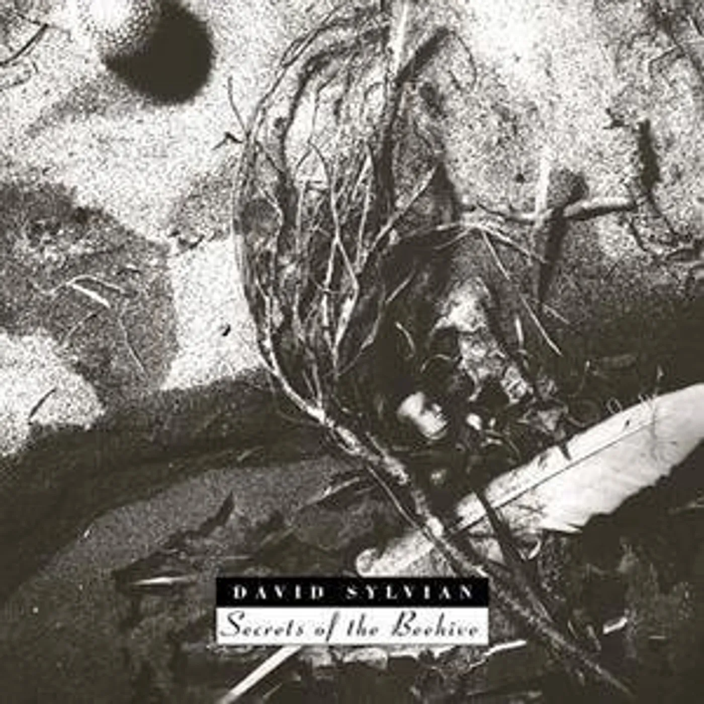 David Sylvian SECRETS OF THE BEEHIVE CD