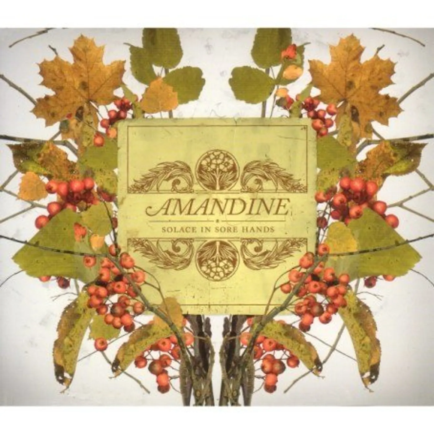 Amandine SOLACE IN SORE HANDS CD