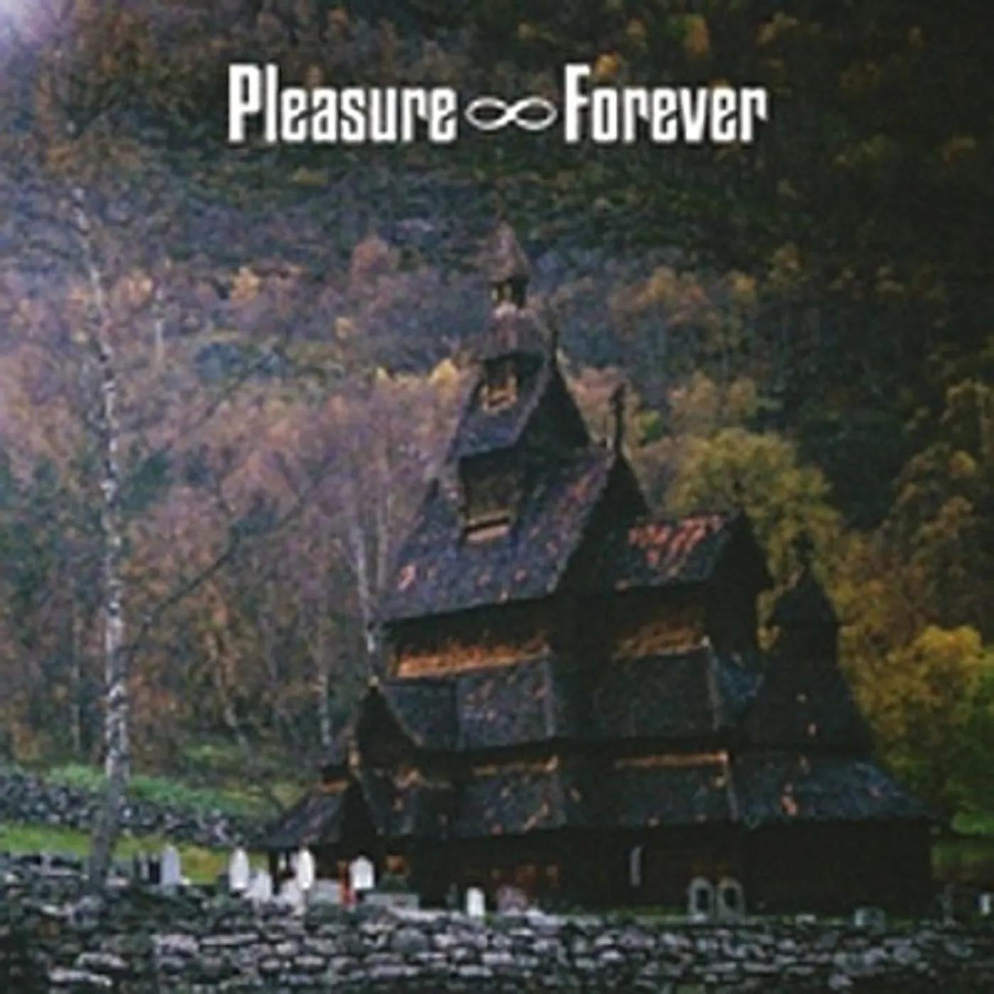 Pleasure Forever BODIES NEED REST Vinyl Record