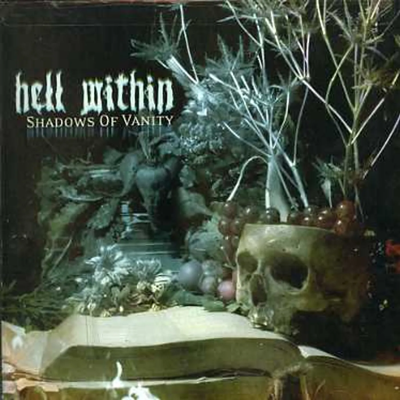 Hell Within SHADOWS OF VANITY CD