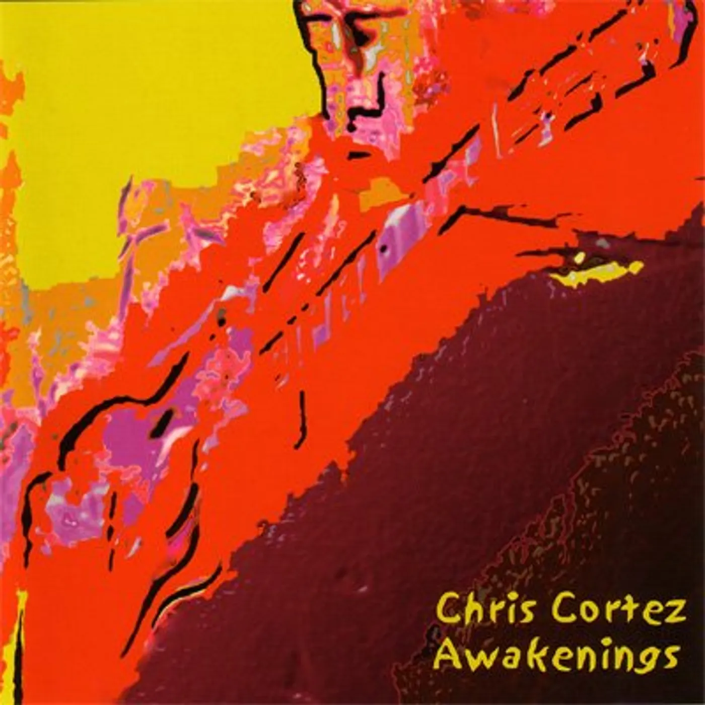 Chris Cortez AWAKENINGS CD