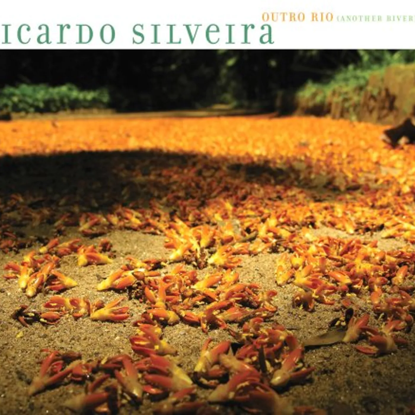 Ricardo Silveira OUTRO RIO (ANOTHER RIVER) CD