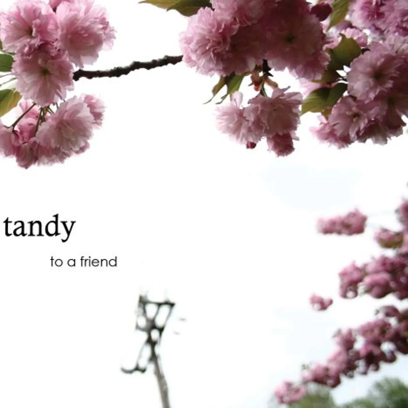 Tandy TO A FRIEND / DID YOU THINK I WAS GONE CD