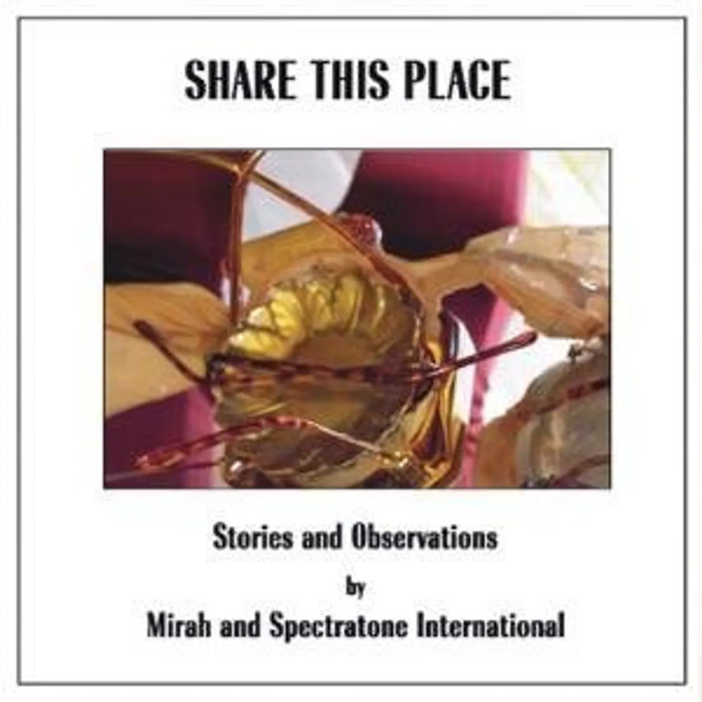 Mirah and Spectratone International SHARE THIS PLACE: STORIES & OBSERVATIONS CD