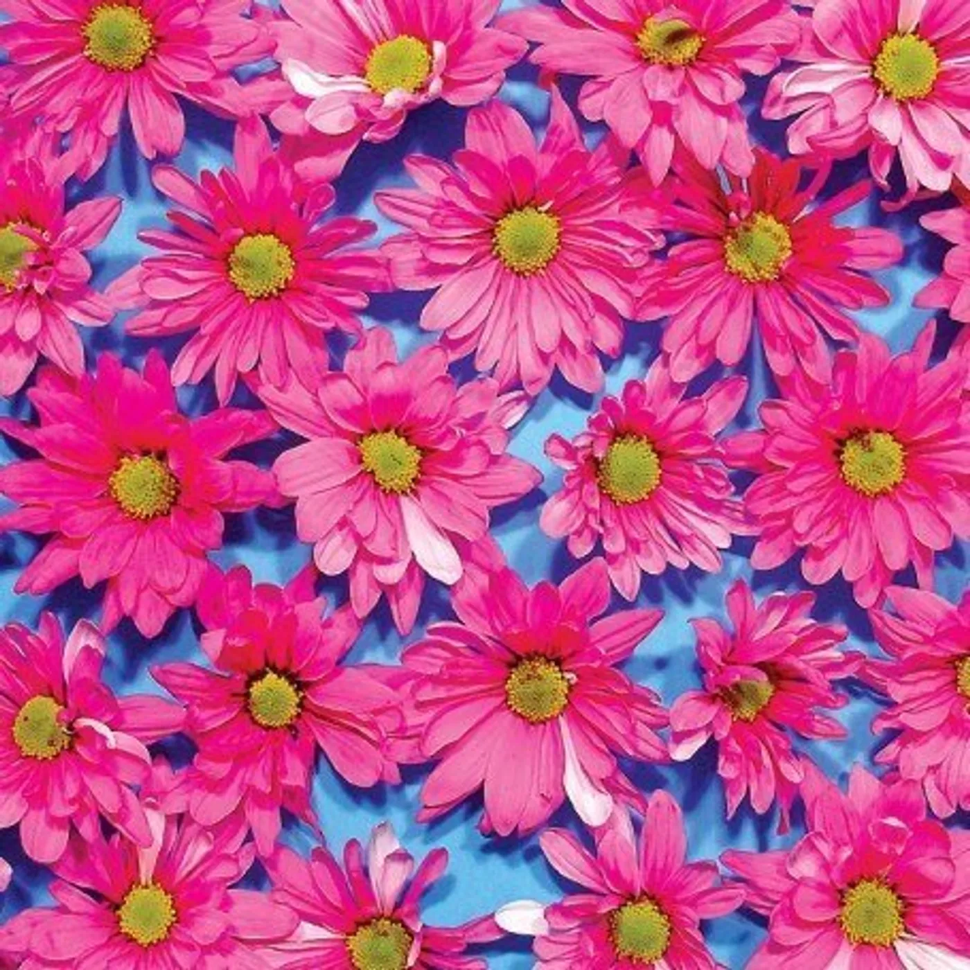 The Austerity Program BLACK MADONNA CD