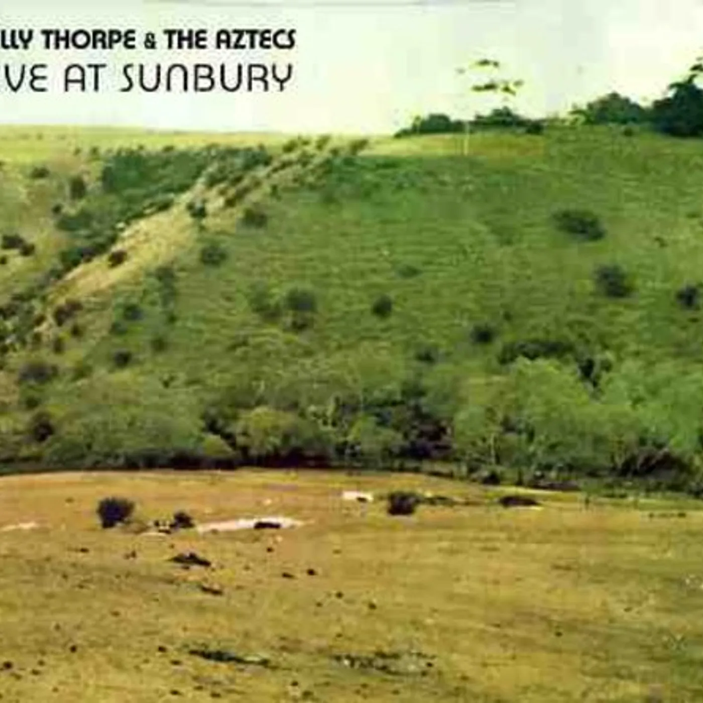 Billy Thorpe & The Aztecs LIVE AT SUNBURY CD