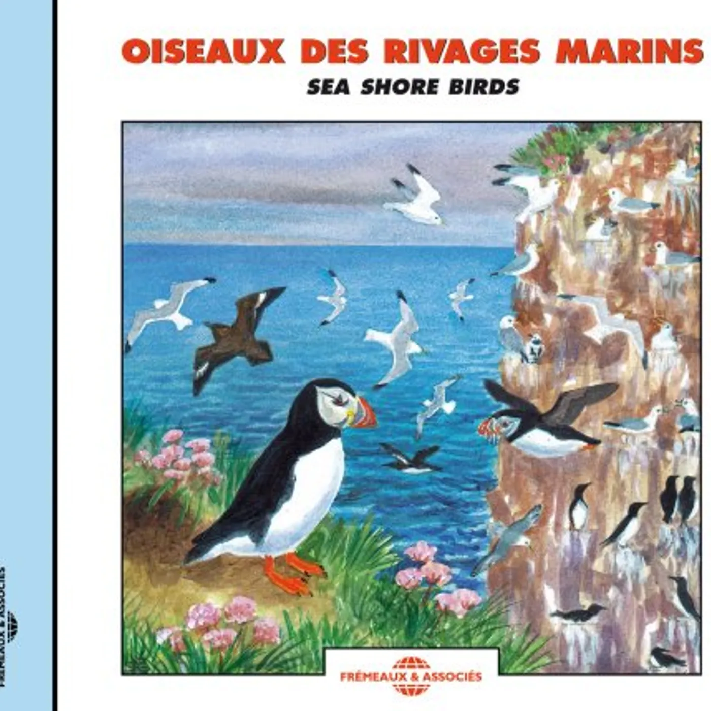 Sounds Of Nature SEA SHORE BIRDS CD